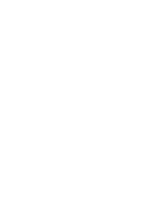 DEFY DEATH